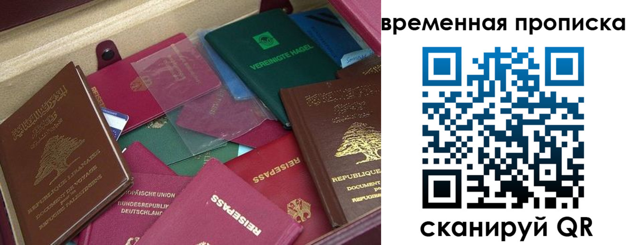 прописка в Ковдоре